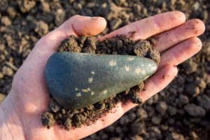 Neolithic stone axe (eclogite and garnet) Neolithic stone axe (eclogite and garnet)